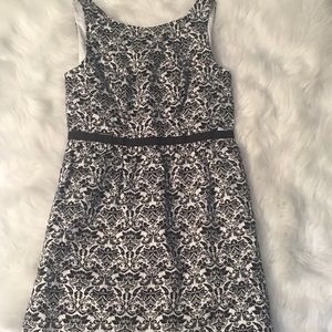 Ann Taylor Loft Dress